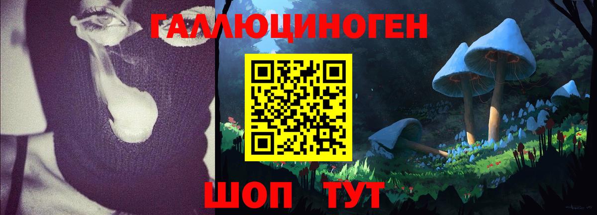 Кинешма  Вход с VPN  Бошки Шишки  А ПВП СОЛЬ кристаллы  Гашиш  Меф МЯУ МЯУ  Мефедрон   COCAIN 
