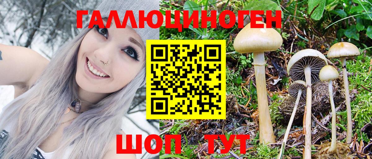 Псилоцибиновые грибы Cubensis  Псилоцибиновые грибы GOLDEN TEACHER  Кинешма  Вход с VPN 