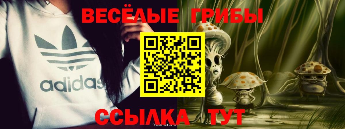Псилоцибиновые грибы мицелий Кинешма